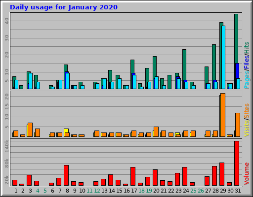 Daily usage for January 2020