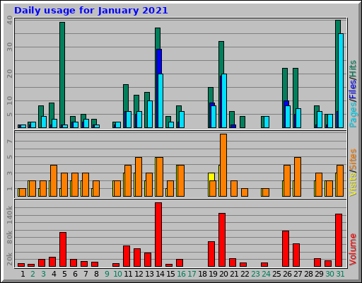 Daily usage for January 2021