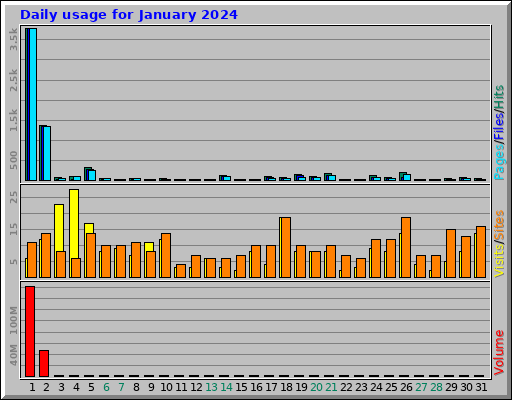 Daily usage for January 2024