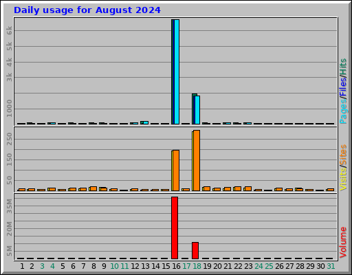 Daily usage for August 2024