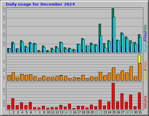 Daily usage for December 2024