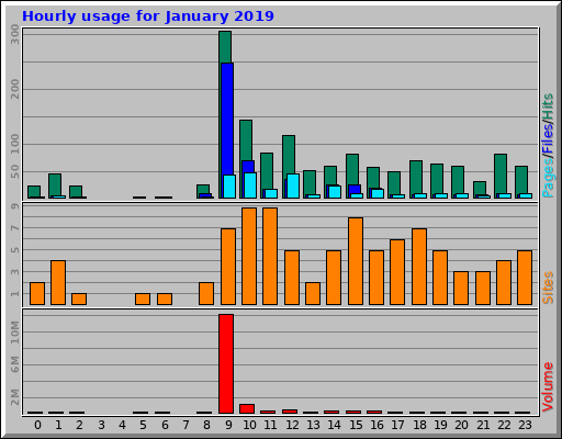 Hourly usage for January 2019