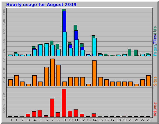 Hourly usage for August 2019