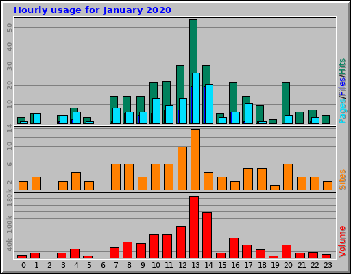 Hourly usage for January 2020