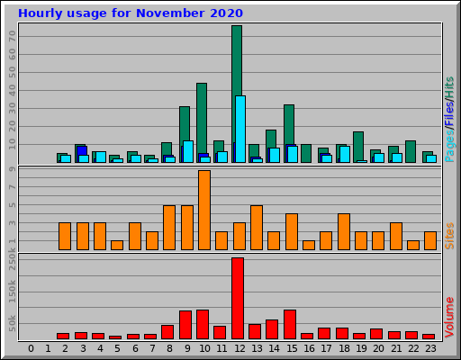 Hourly usage for November 2020