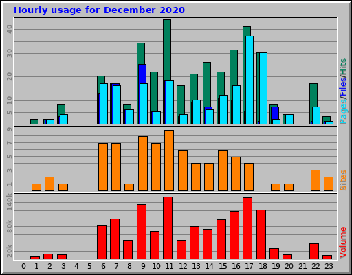 Hourly usage for December 2020