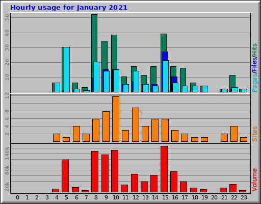 Hourly usage for January 2021