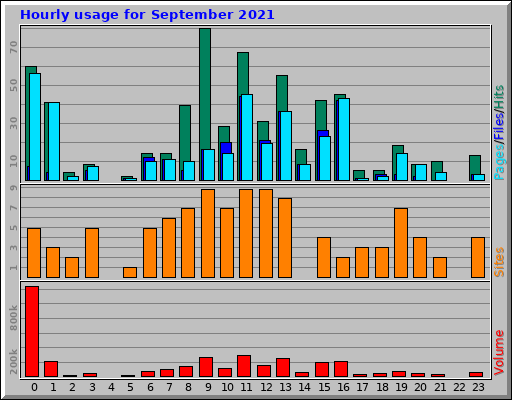 Hourly usage for September 2021
