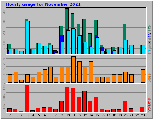 Hourly usage for November 2021