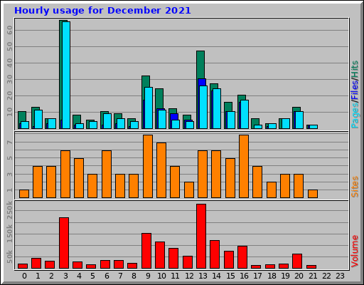 Hourly usage for December 2021