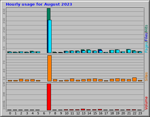 Hourly usage for August 2023