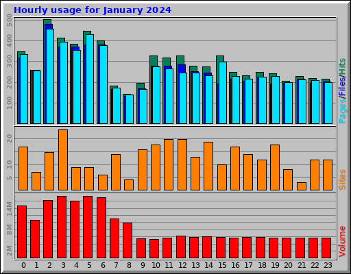 Hourly usage for January 2024