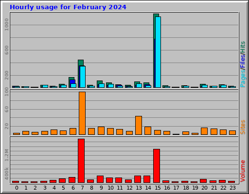 Hourly usage for February 2024