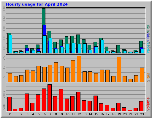 Hourly usage for April 2024