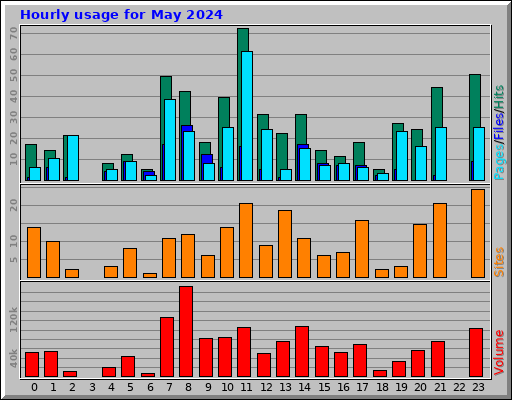 Hourly usage for May 2024