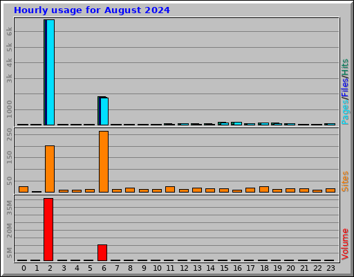 Hourly usage for August 2024