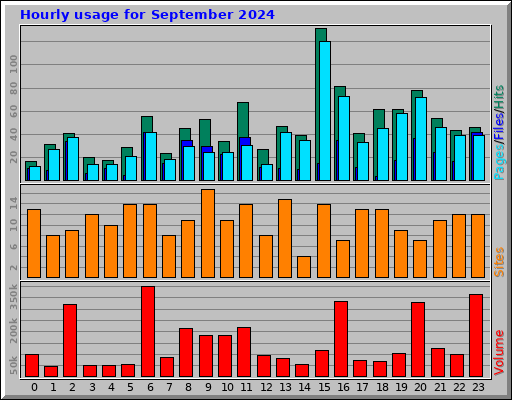 Hourly usage for September 2024