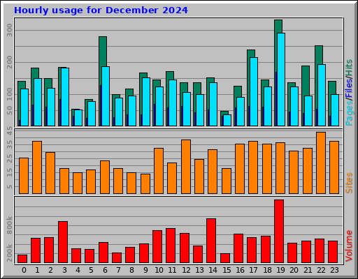 Hourly usage for December 2024