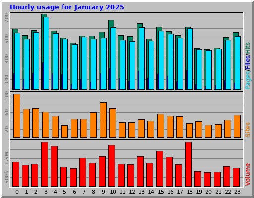 Hourly usage for January 2025
