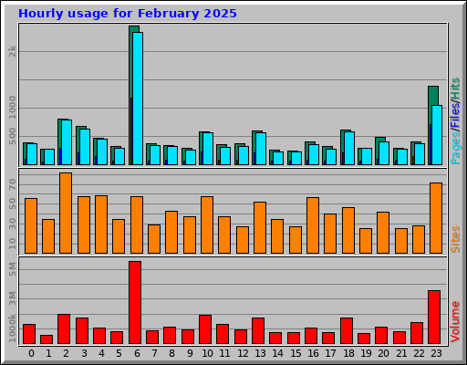 Hourly usage for February 2025