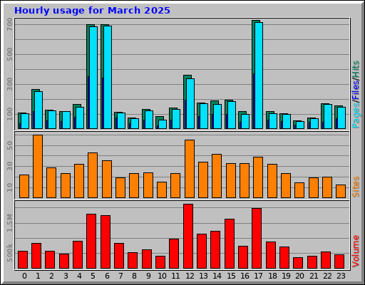 Hourly usage for March 2025