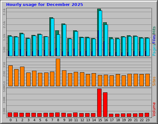 Hourly usage for December 2025