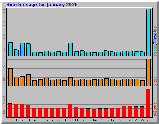 Hourly usage for January 2026 Hourly usage for January 2026