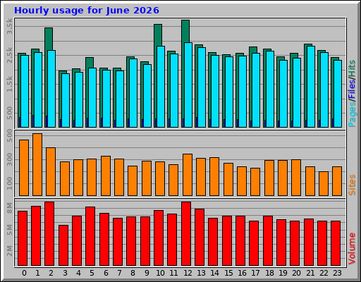 Hourly usage for June 2026