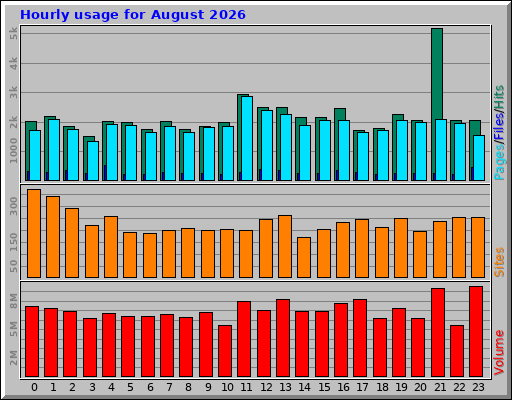 Hourly usage for August 2026